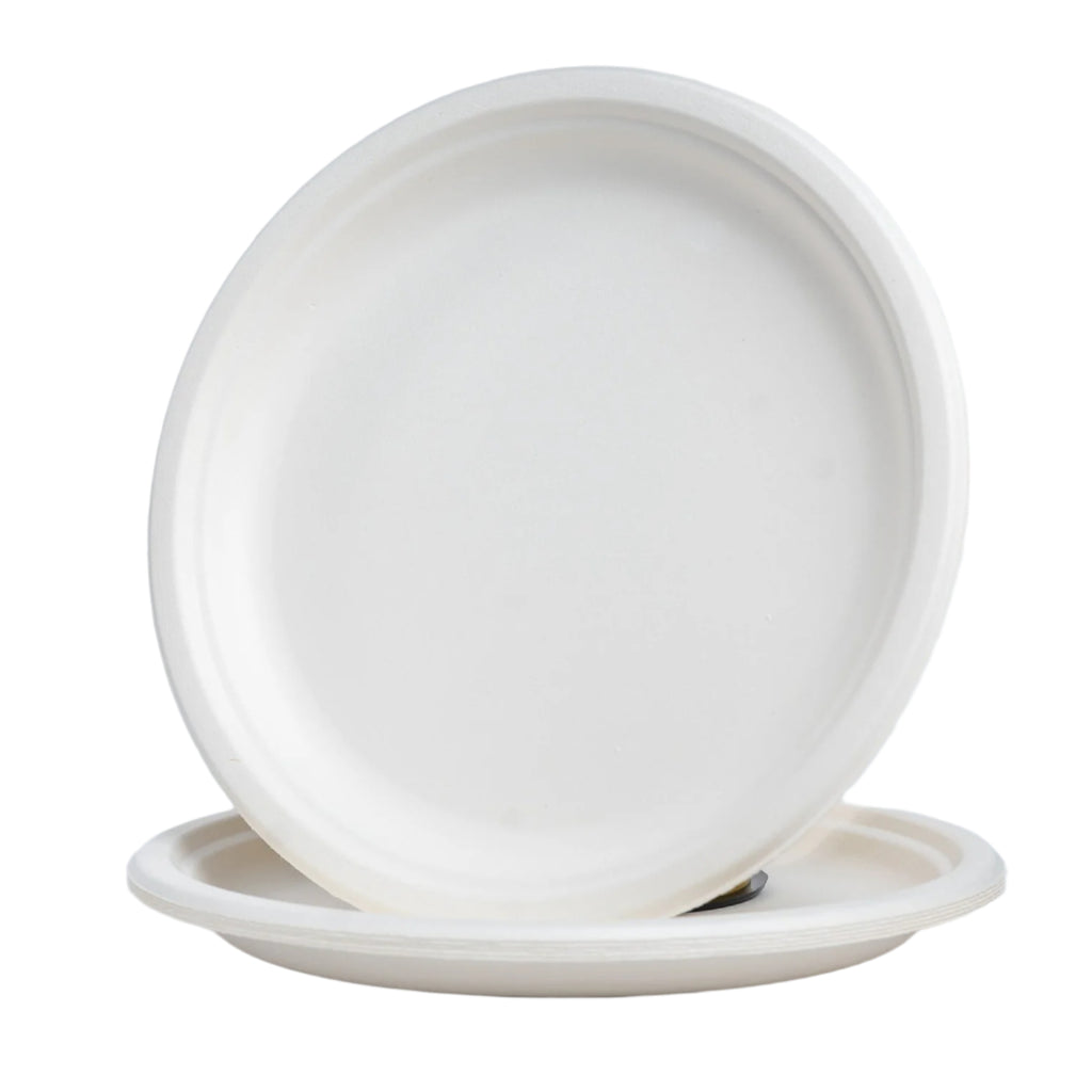 heavy-duty-paper-plates-pack-of-24-eco-friendly-party-dubai