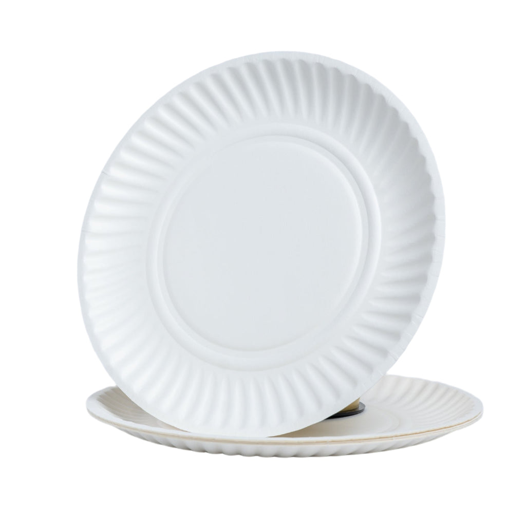 eco-friendly-paper-plates-pack-of-24-birthday-party-dubai